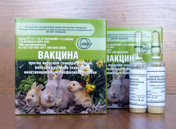 Выбор правильной вакцины для своего кролика