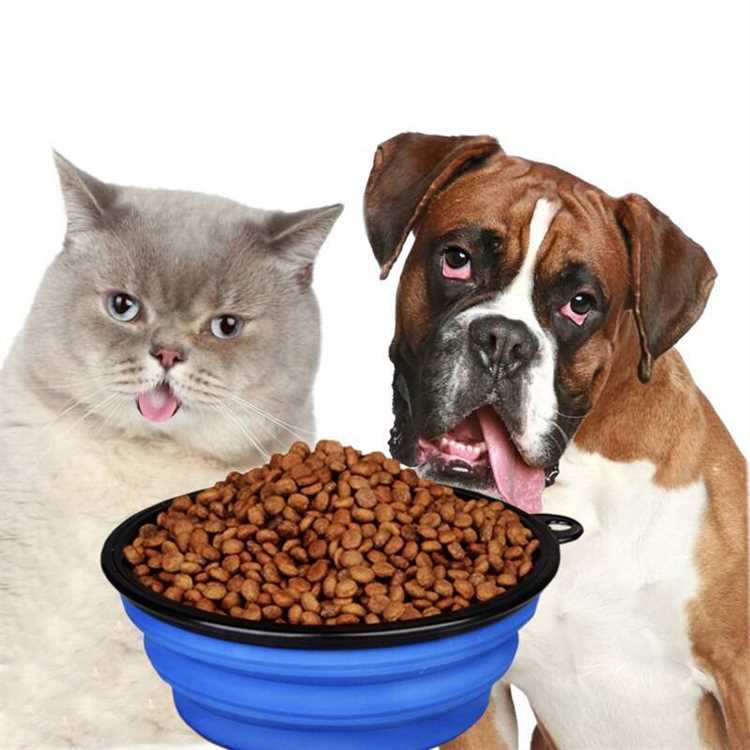 Миф о необходимости вкусного корма для кошек и собак