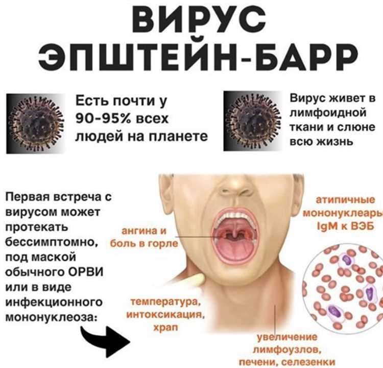 Вирусы на сайте: как найти и вылечить?